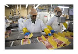 RH15-008-Plant-0046 RH15-008-Plant-0046