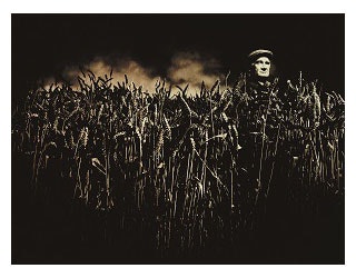 1660244557562 Ancientgrains