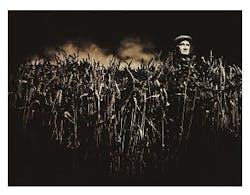 1660244557562 Ancientgrains 1660244557562 Ancientgrains