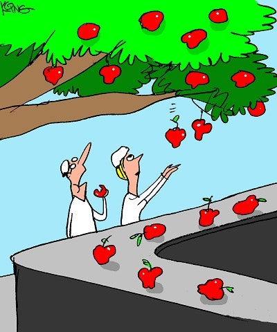 1660248244873 Septemberfoodfunnymed