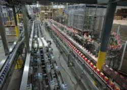 resizedimage250178-Dallas-Plant resizedimage250178-Dallas-Plant