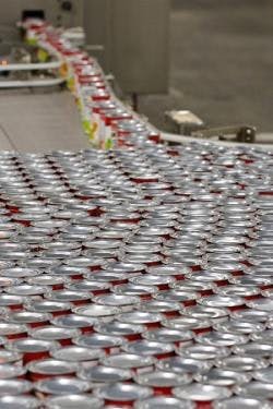 resizedimage250375-Napoleon-Campbell-Cans resizedimage250375-Napoleon-Campbell-Cans