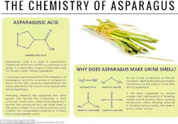 science-of-asparagus