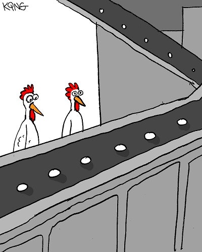 1660248453082 August2014foodfunnychicken