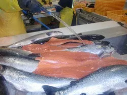 ozone-seafood-shelf-life