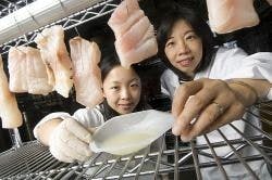 resizedimage250166-OSU_fish resizedimage250166-OSU_fish