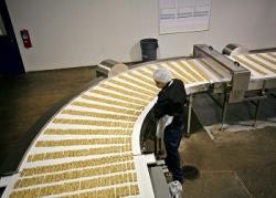 1660254154967 Resizedimage250179hearthsidefoodsolutionsconveyor