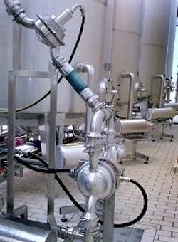 1660254235184 Wilden 1660254235184 Wilden