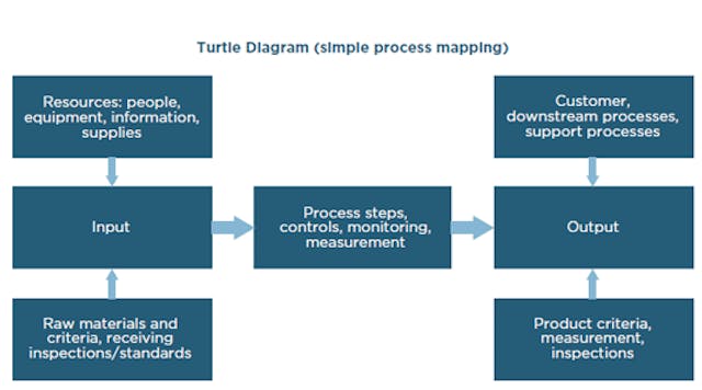 turtle-diagram