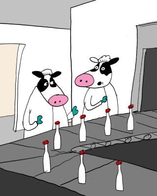 1660254305503 Resizedimage320400foodfunniesfebruary