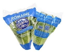 Field-Fresh-Wrapped-Leaf-Lettuce Field-Fresh-Wrapped-Leaf-Lettuce