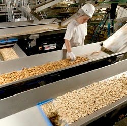 1660254349691 Fastbackcookies 1660254349691 Fastbackcookies