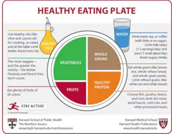 healthy-eating-plate healthy-eating-plate