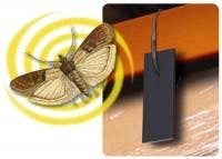 resizedimage200143-Moth resizedimage200143-Moth