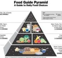 originalfoodguidepyraminchp8b originalfoodguidepyraminchp8b