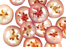 Ocean-Spray-cranberry-sliced Ocean-Spray-cranberry-sliced