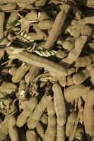 ingredient_Treatt ingredient_Treatt