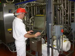 Western_small Western_small