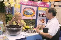 BlueberryLady BlueberryLady
