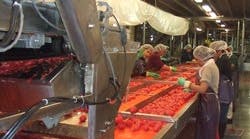 TomatoesSideways TomatoesSideways