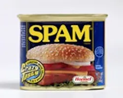 1660255002792 Hormel Spamcan