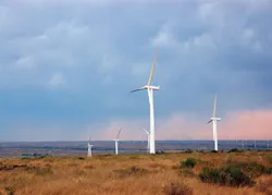fp_homepage_windfarm fp_homepage_windfarm