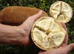 1660255404879 Resizedimage3002210801 Nbtt Web 1660255404879 Resizedimage3002210801 Nbtt Web