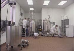 plant_pic3 plant_pic3