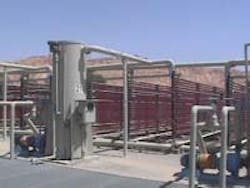 1660255565560 Wfi Alga 1660255565560 Wfi Alga