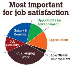 salary_satisfaction_factors