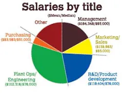 salary_title
