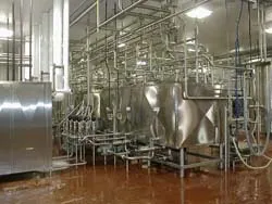 plant_shambaugh_safeway_fig3 plant_shambaugh_safeway_fig3