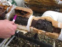 plant_recco_ammonia plant_recco_ammonia