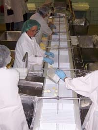 1660255614367 Conveyor Eggs