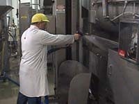 plant_holten plant_holten