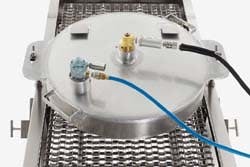 plant_douglasbelt plant_douglasbelt