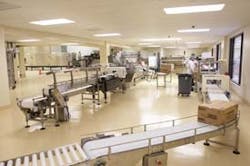 plant_stonhard1 plant_stonhard1