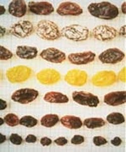 1660255664786 Bench Raisins 1660255664786 Bench Raisins