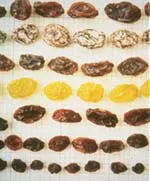 bench_raisins