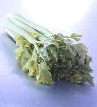 bench_treatt bench_treatt