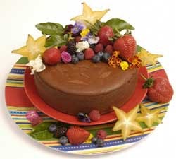 wingred_horizon wingred_horizon