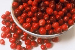 1660255726500 Wf Botanicals 1660255726500 Wf Botanicals