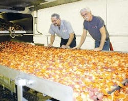 kell_manu_conveyor kell_manu_conveyor