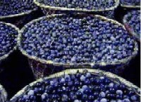 1660255778788 Acai Berry