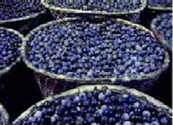 1660255778788 Acai Berry