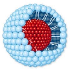 form_cutaway2 form_cutaway2