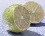 ingred_treatt ingred_treatt