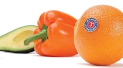 wf0608_cancer_orange-etc wf0608_cancer_orange-etc