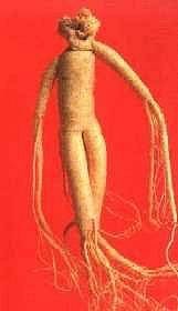 1660255935040 Ginseng Sciencebasedotcom