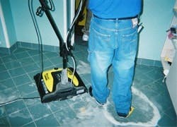 fp0606_plant_tornado-scrubber fp0606_plant_tornado-scrubber